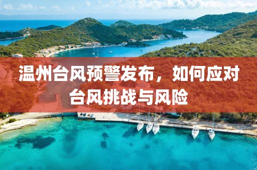 温州台风预警发布，如何应对台风挑战与风险
