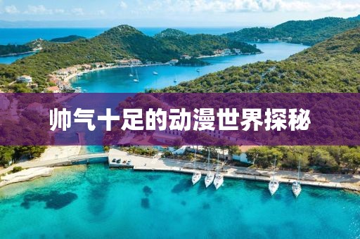 帅气十足的动漫世界探秘
