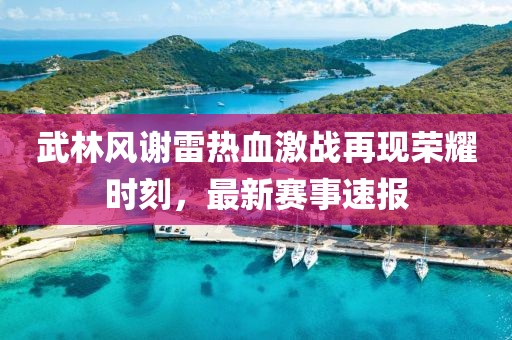 武林风谢雷热血激战再现荣耀时刻，最新赛事速报