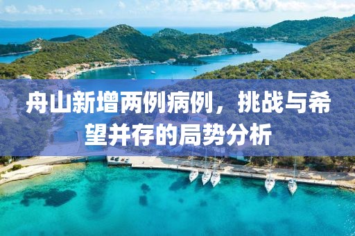 舟山新增两例病例，挑战与希望并存的局势分析