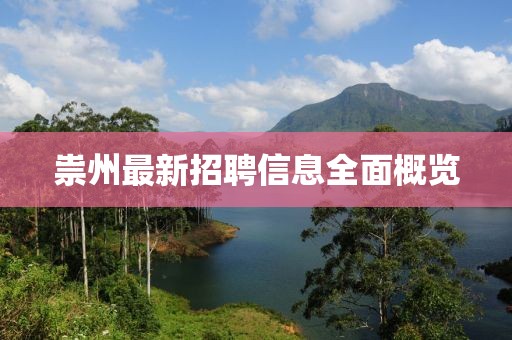 祟州最新招聘信息全面概览