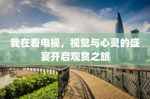 我在看电视，视觉与心灵的盛宴开启观赏之旅