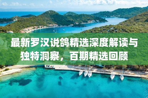 最新罗汉说鸽精选深度解读与独特洞察，百期精选回顾
