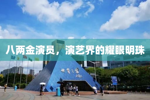 八两金演员，演艺界的耀眼明珠