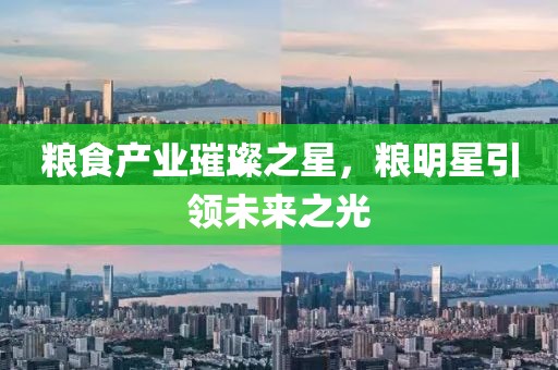 粮食产业璀璨之星，粮明星引领未来之光