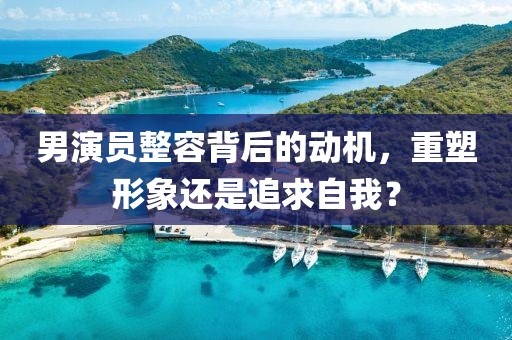 男演员整容背后的动机，重塑形象还是追求自我？