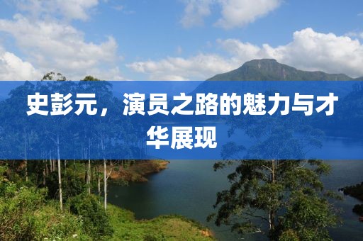 史彭元，演员之路的魅力与才华展现