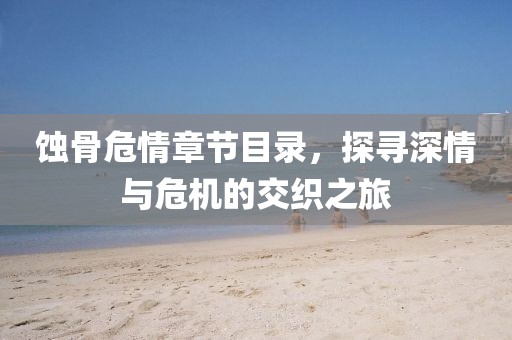 蚀骨危情章节目录，探寻深情与危机的交织之旅