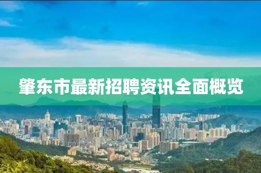 肇东市最新招聘资讯全面概览