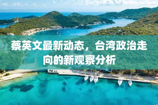 蔡英文最新动态，台湾政治走向的新观察分析
