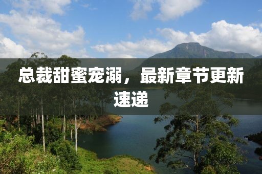 总裁甜蜜宠溺，最新章节更新速递