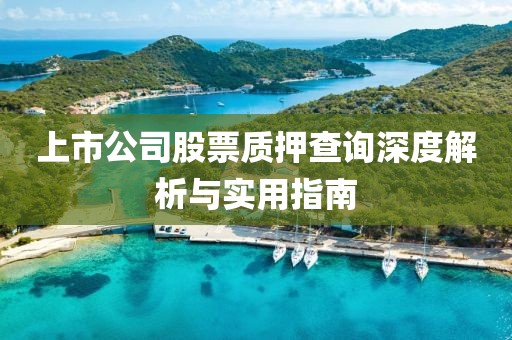 上市公司股票质押查询深度解析与实用指南