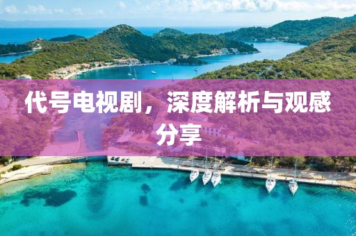 代号电视剧，深度解析与观感分享