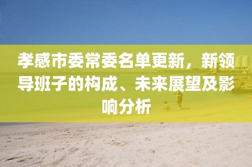 孝感市委常委名单更新，新领导班子的构成、未来展望及影响分析