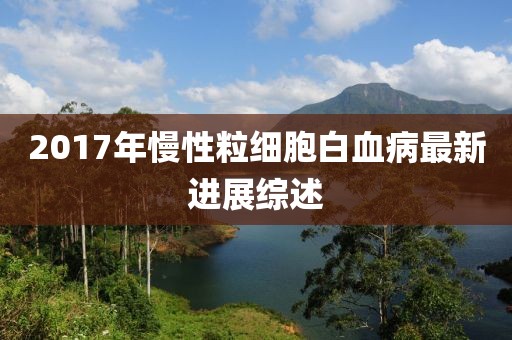2017年慢性粒细胞白血病最新进展综述