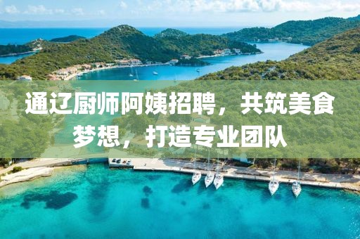 通辽厨师阿姨招聘，共筑美食梦想，打造专业团队