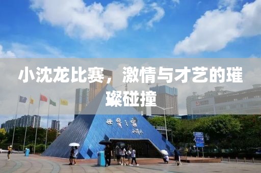 小沈龙比赛，激情与才艺的璀璨碰撞