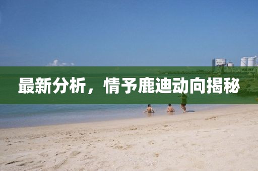 最新分析，情予鹿迪动向揭秘