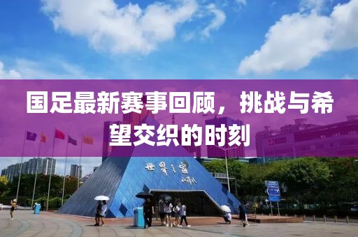 国足最新赛事回顾，挑战与希望交织的时刻