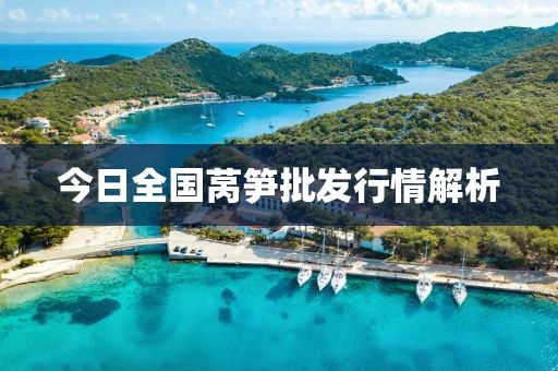 今日全国莴笋批发行情解析