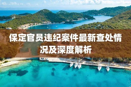 保定官员违纪案件最新查处情况及深度解析