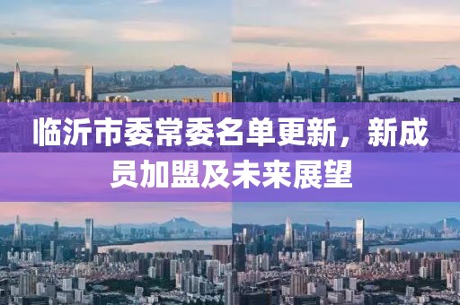 临沂市委常委名单更新，新成员加盟及未来展望