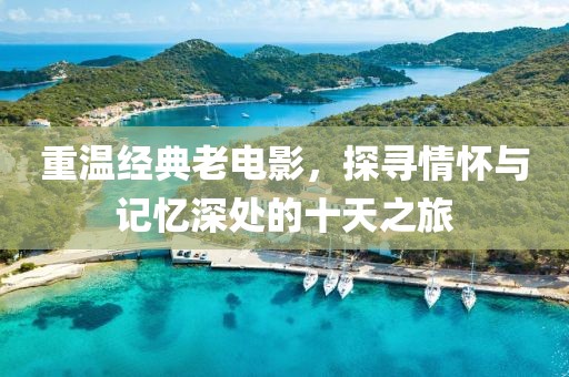 重温经典老电影，探寻情怀与记忆深处的十天之旅