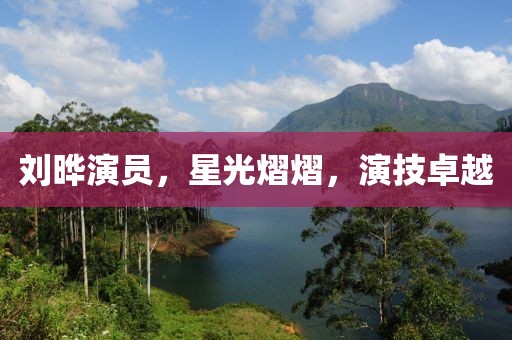 刘晔演员，星光熠熠，演技卓越