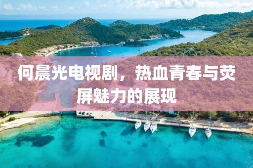 何晨光电视剧，热血青春与荧屏魅力的展现