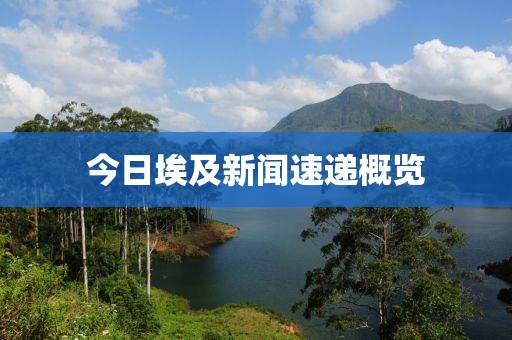 今日埃及新闻速递概览