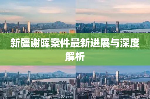 新疆谢晖案件最新进展与深度解析