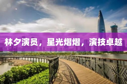 林夕演员，星光熠熠，演技卓越