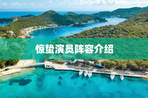 惊蛰演员阵容介绍