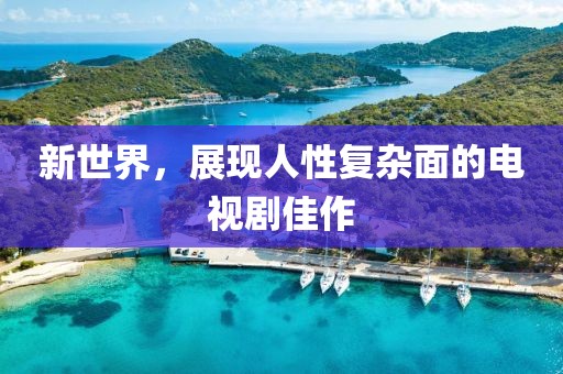 新世界，展现人性复杂面的电视剧佳作