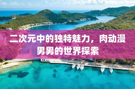 二次元中的独特魅力，肉动漫男男的世界探索