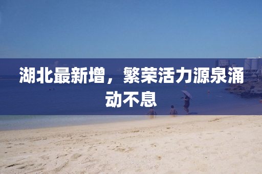 湖北最新增，繁荣活力源泉涌动不息