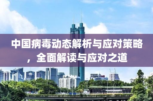 中国病毒动态解析与应对策略，全面解读与应对之道
