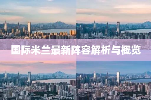 国际米兰最新阵容解析与概览