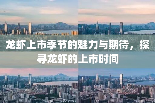 龙虾上市季节的魅力与期待，探寻龙虾的上市时间