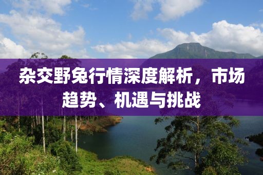 杂交野兔行情深度解析，市场趋势、机遇与挑战
