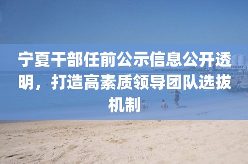 宁夏干部任前公示信息公开透明，打造高素质领导团队选拔机制