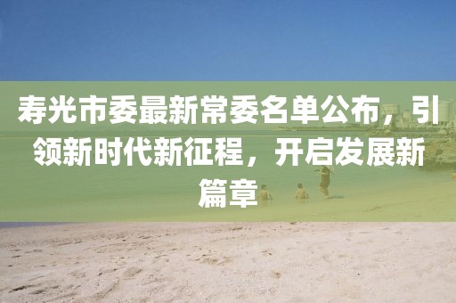 寿光市委最新常委名单公布，引领新时代新征程，开启发展新篇章