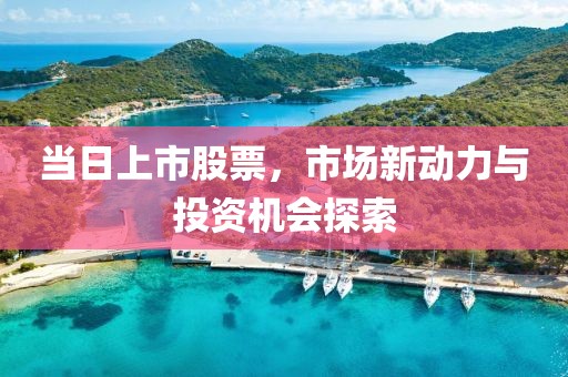 当日上市股票，市场新动力与投资机会探索