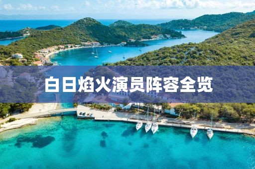 白日焰火演员阵容全览