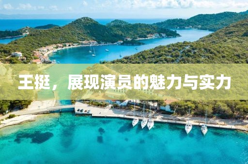 王挺，展现演员的魅力与实力