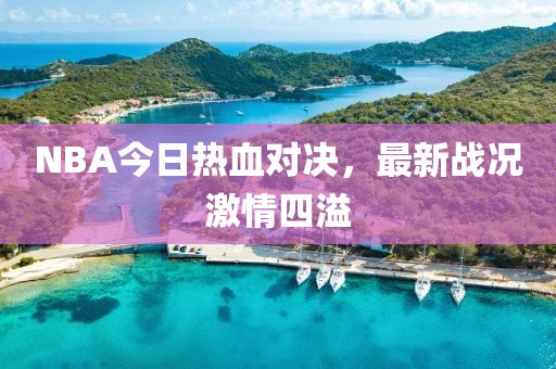 NBA今日热血对决，最新战况激情四溢