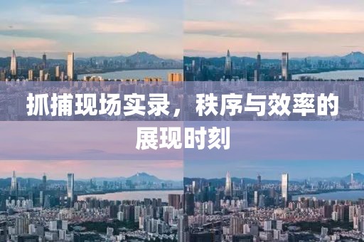 抓捕现场实录，秩序与效率的展现时刻