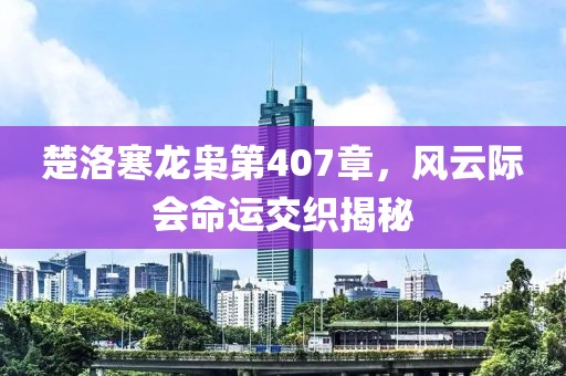 楚洛寒龙枭第407章，风云际会命运交织揭秘