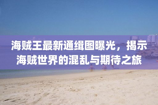海贼王最新通缉图曝光，揭示海贼世界的混乱与期待之旅
