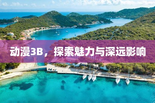 动漫3B，探索魅力与深远影响